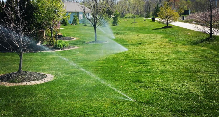 Install Lawn Irrigation System