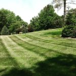 Lawn Care Services St. Louis, MO