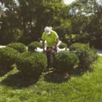 Tree and Hedge Trimming St. Louis, MO.