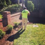 St. Louis MO Garden Bed Maintenance Company