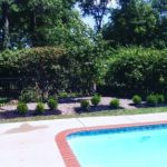 Pool Landscape Design Services St. Louis, MO.
