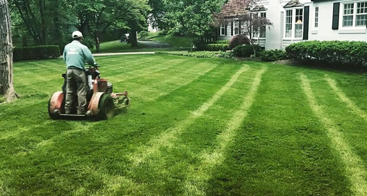 lawn care provo utah