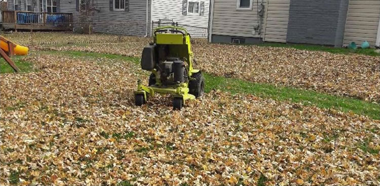 Leaf Cleanup And Removal Services St. Louis, MO.