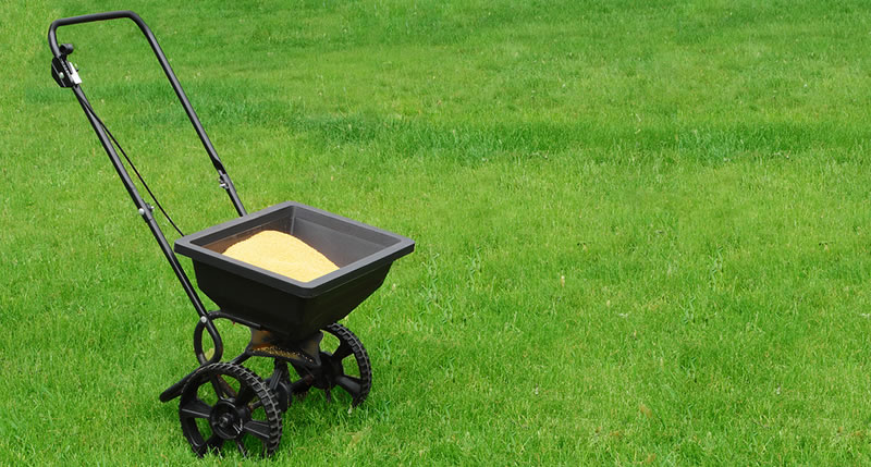 Lawn Fertilizing And Weed Control Services