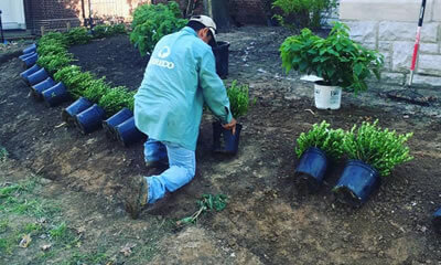 Landscape Installation St. Louis, MO.