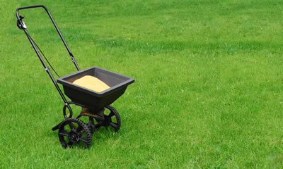 Lawn Care Treatments and Fertilizing.